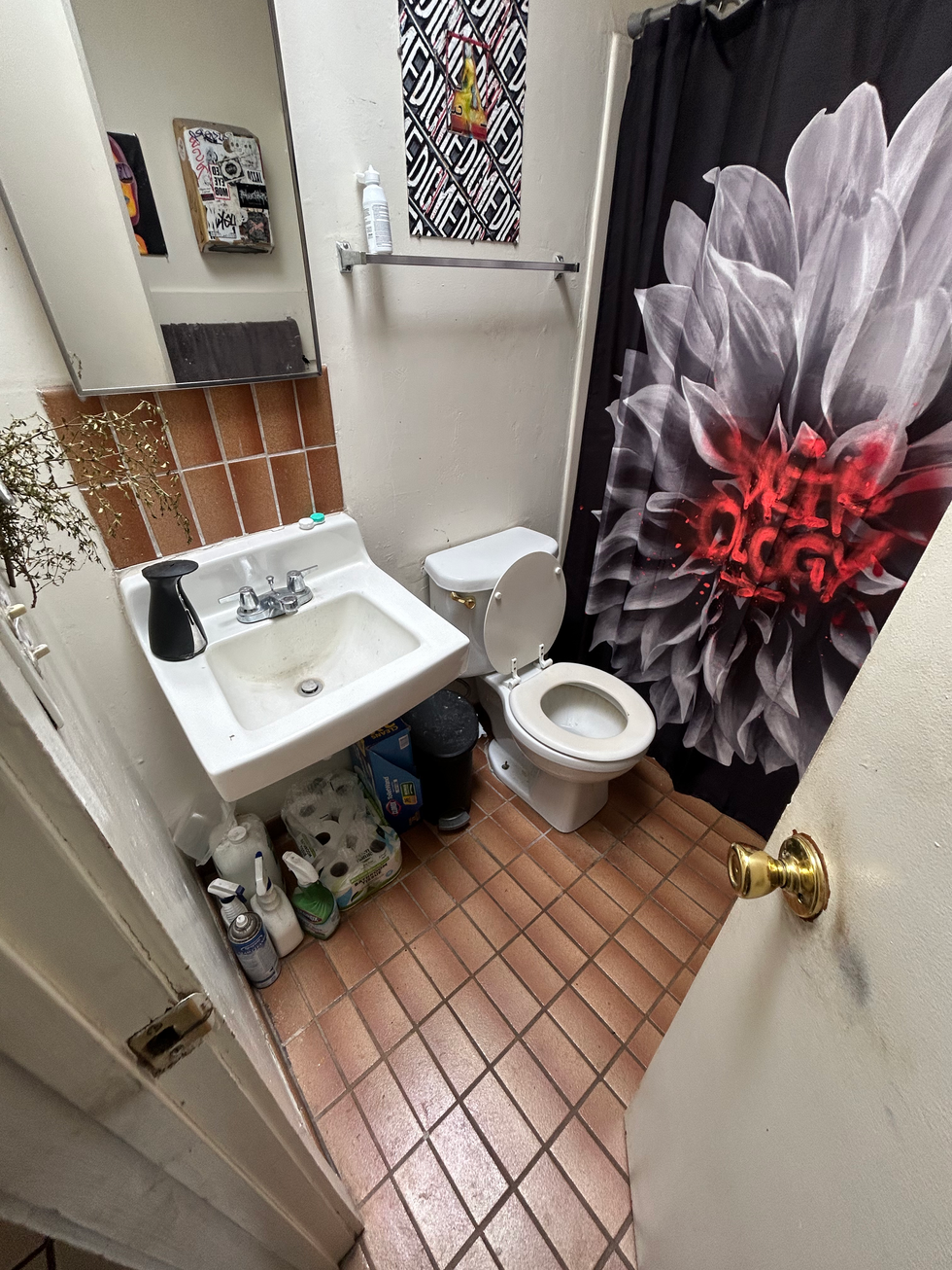 Bathroom Before
