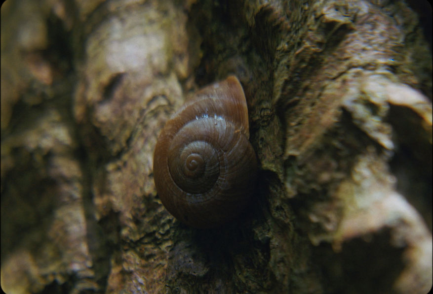 Fotograma 2026-04-28 185602_1.29.1.jpg