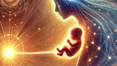 子育てから見る1次元から2次元への目覚め 