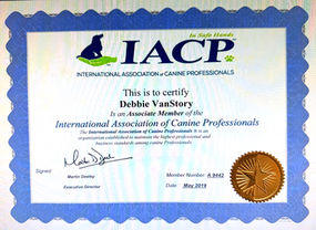 IACP Associate Member certificate for Debbie VanStory.