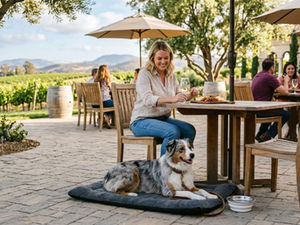Dog-Friendly Temecula Winery Tips: Wine, Dine, and Unwind With Your Pup