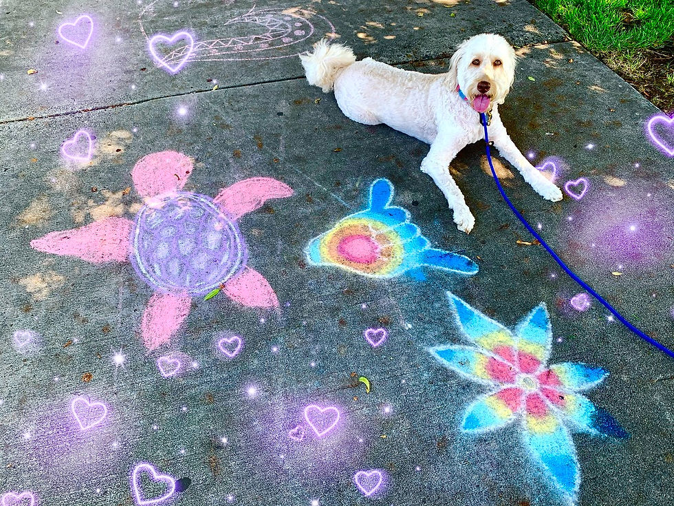 Dog on pavement with colorful chalk drawings of a turtle, hand, and flower. Purple hearts and sparkles enhance the playful mood.