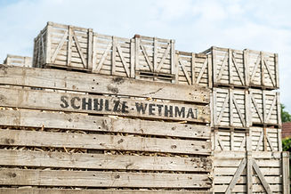 SchulzeWethmar_113.jpg