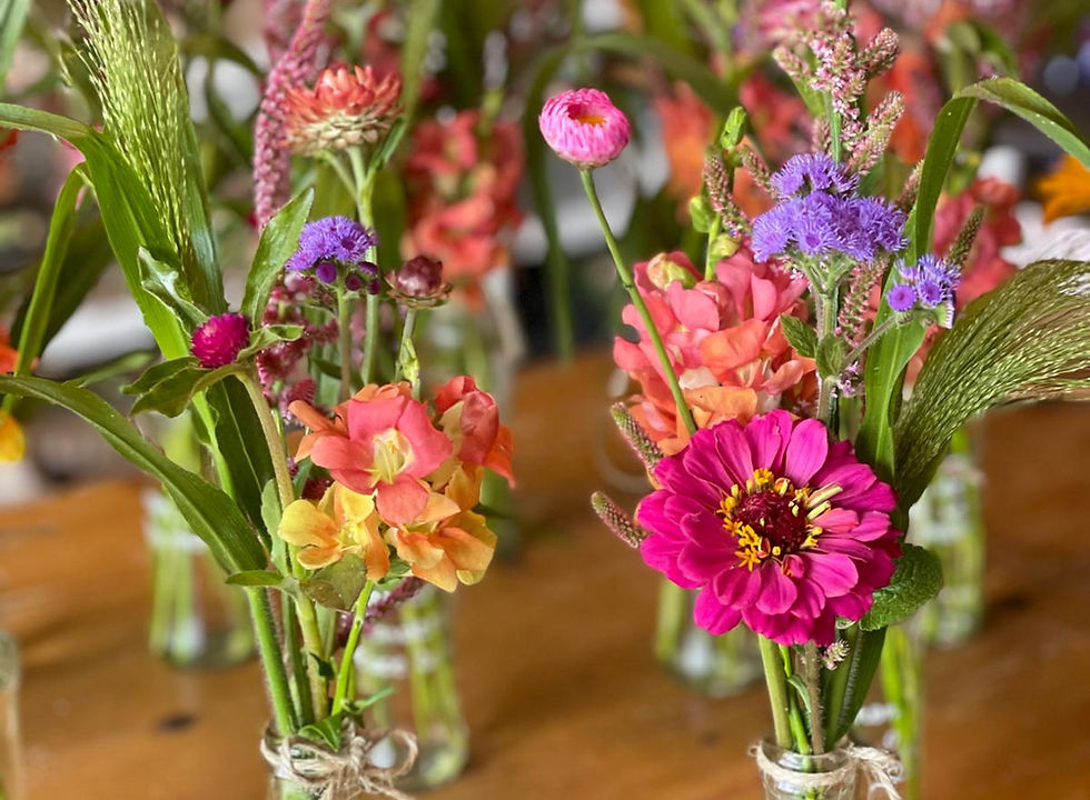 WhatsApp Image 2026-01-06 at 12.07.29 (18).jpeg