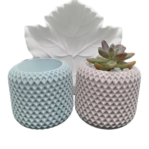 Dual Mini Vase_Pink & Mint.png