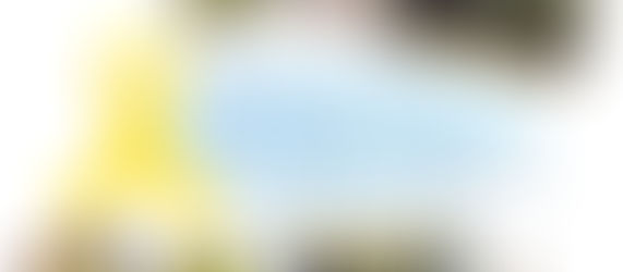 「私たち抜きに 私たちのことを決めないで！」　                                          保土ケ谷区一斉アクション 2年目の取り組み