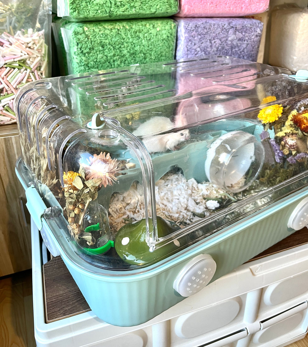 縮圖：50cm 度假籠