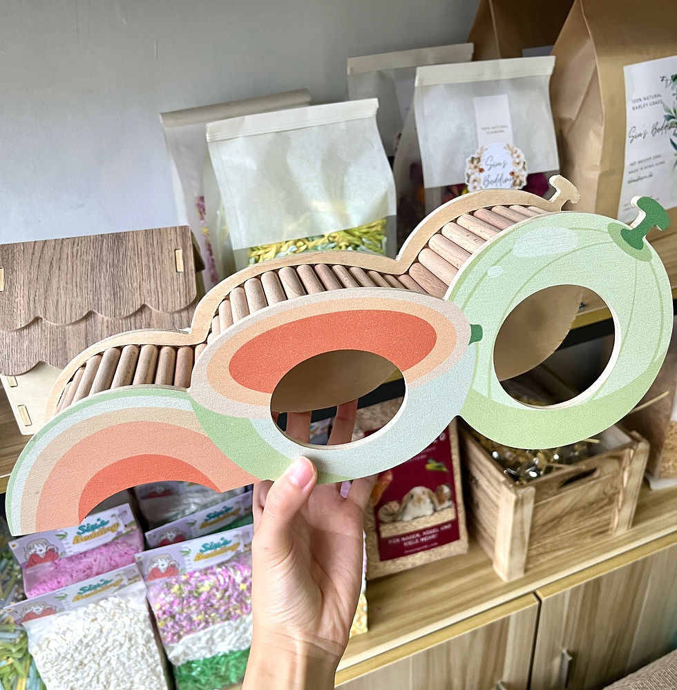 縮圖：哈密瓜地下隧道