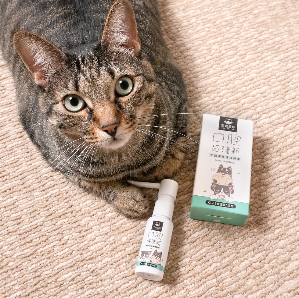 縮圖：🇹🇼汪喵星球 潔牙護理酵素
