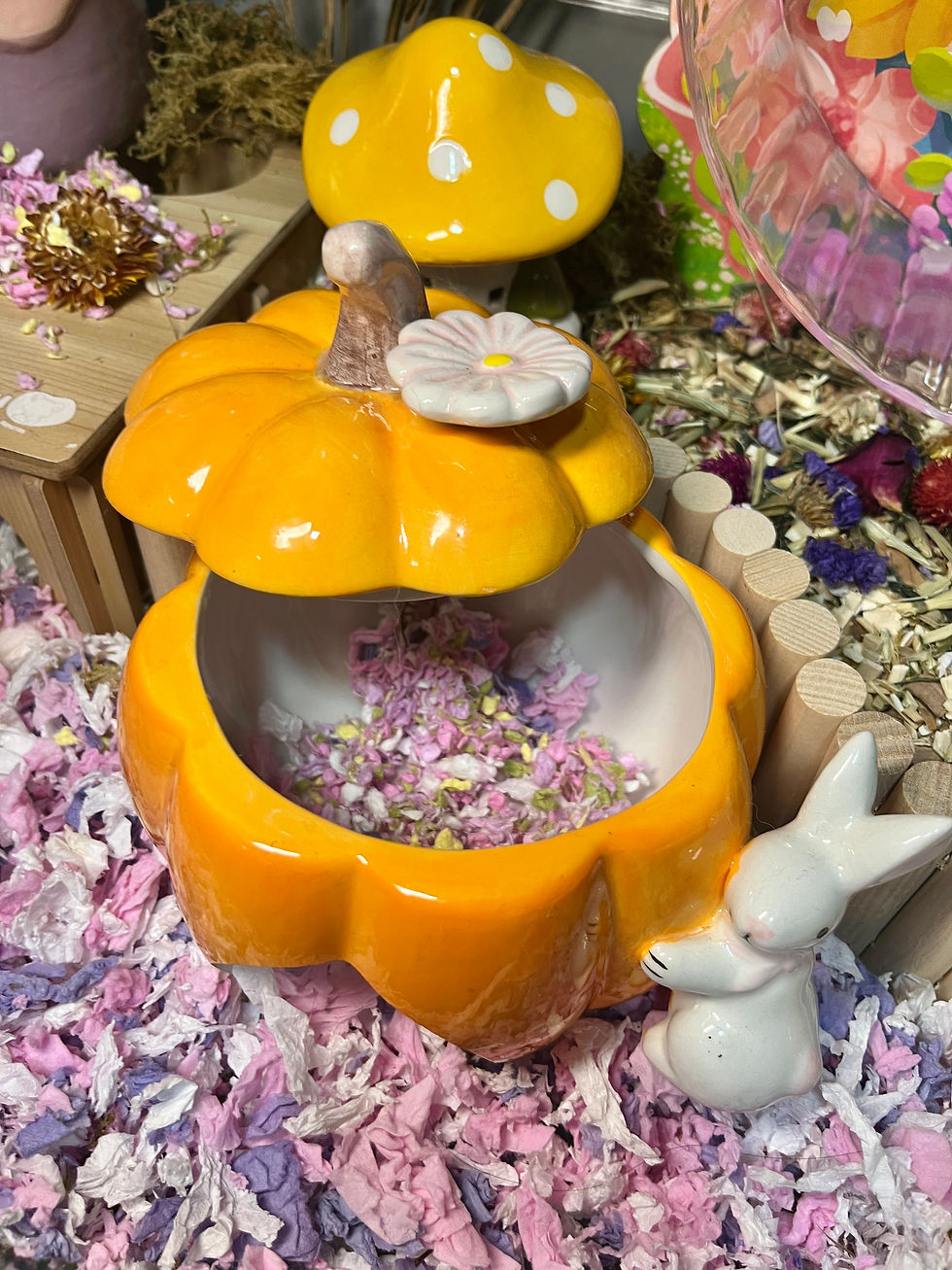 縮圖：南瓜陶瓷窩