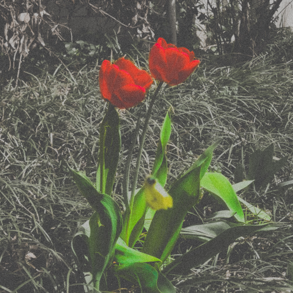 Forgive me._20250410_085834_0000.png