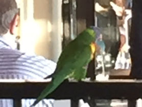 Beautiful Sydney, Australia