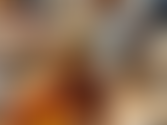 Smoky Mountain Christmas - 2021 - Day 5 Affordable, Family Friendly Travel