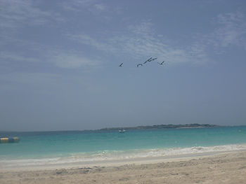 Beach at the Grand Case Beach Club Resort