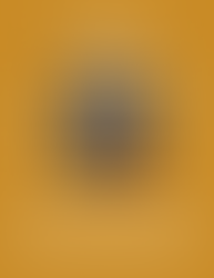 The Wellness Project December Newsletter page 4