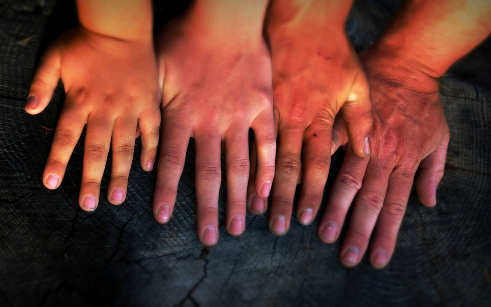 4 hands side by side representing 3 generations