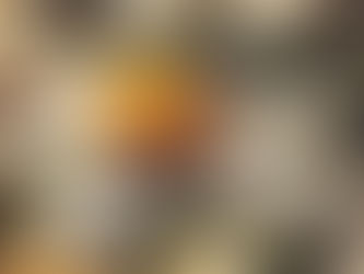 The Buzz about Beekeeping in Harrisonburg