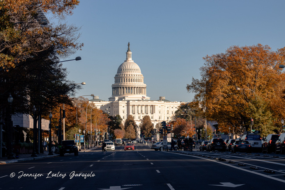 IMG_1421.jpg