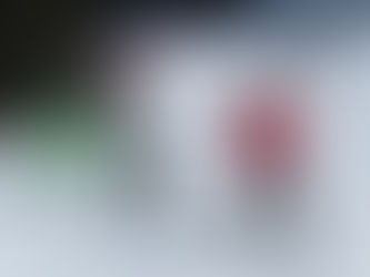 Even adults can learn to ski…