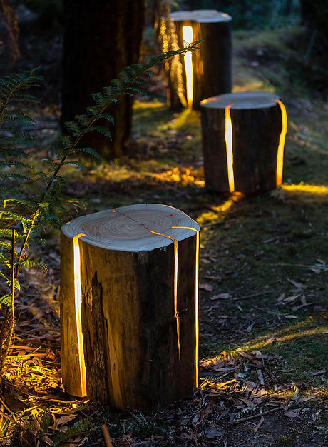 04-landscape-lighting-ideas-homebnc_edited.jpg