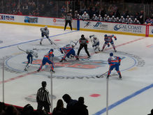 San Diego Gulls Face Off