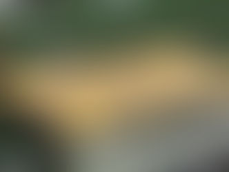 Terrible Towel at Acrisure Stadium