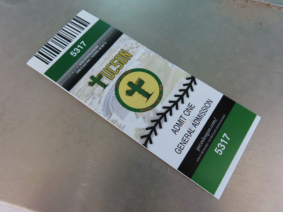 Colorful Tucson Saguaro Ticket Stub, Photo by Meg Minard, Stadium Journey