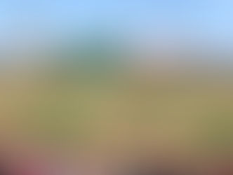 Goodyear Ballpark Cleveland Guardians Spring Training Behind Home