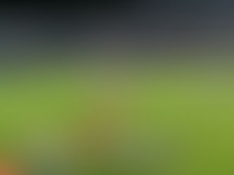 World Cup Qualifier Match in Prague 