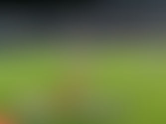 World Cup Qualifier Match in Prague 