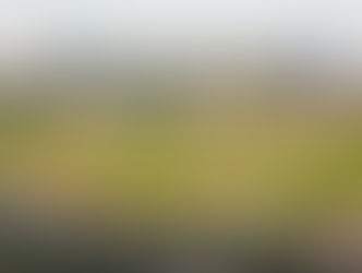 Jackson Field Lansing Lugnuts