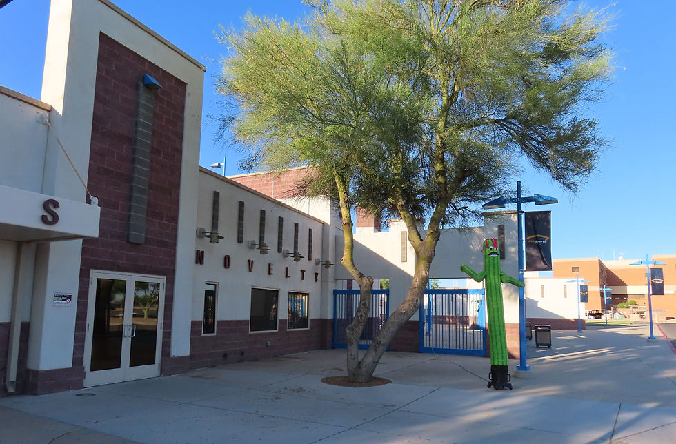 Kino Veterans Memorial Stadium - Get Tickets By the Flapping Saguaro, Photo by Meg Minard, Stadium Journey