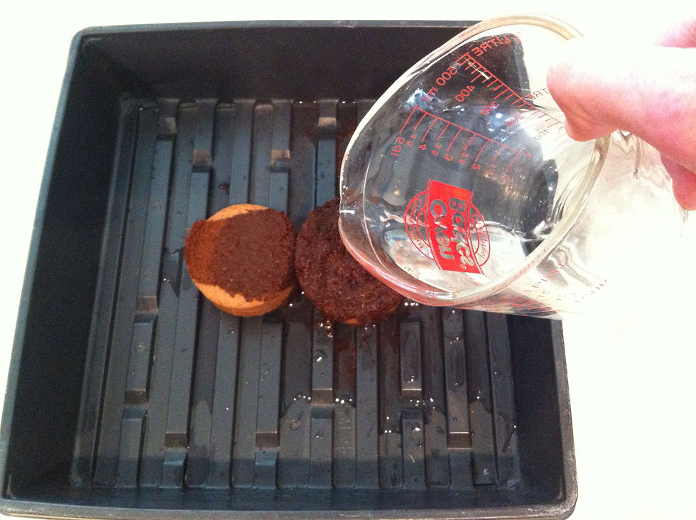 Thumbnail: Hydrate Your Coco Coir Soil Wafers