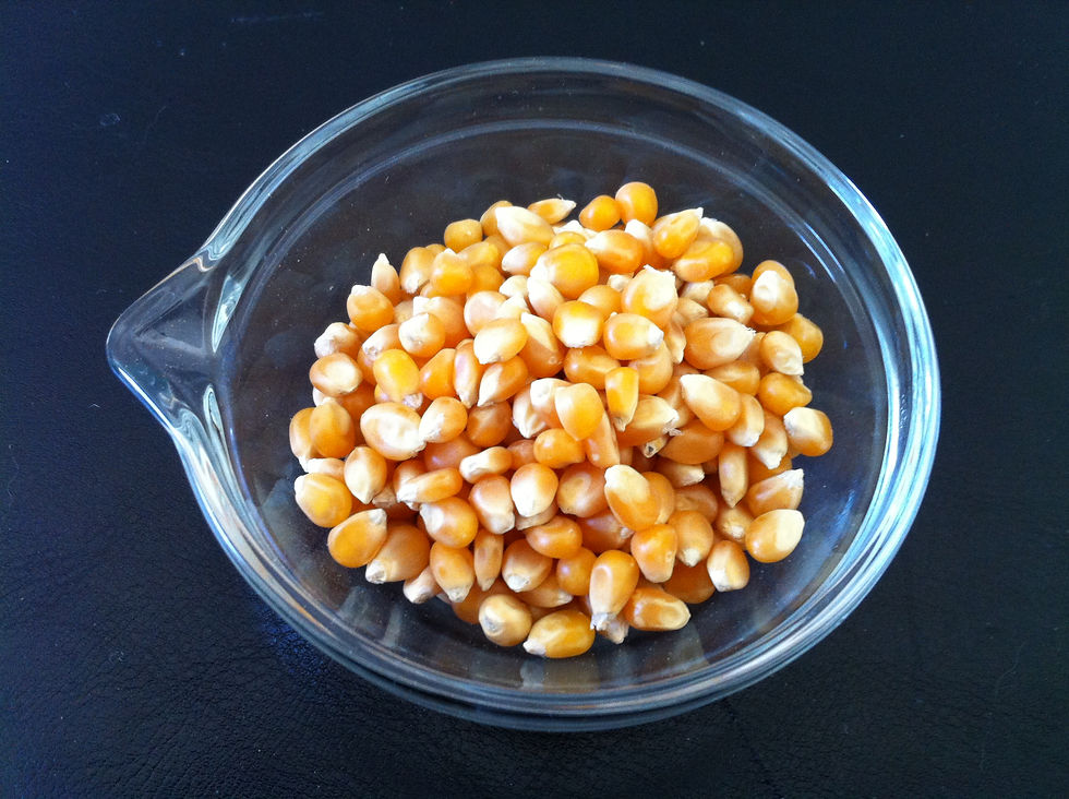 Thumbnail: Yellow Popcorn Seed for Growing