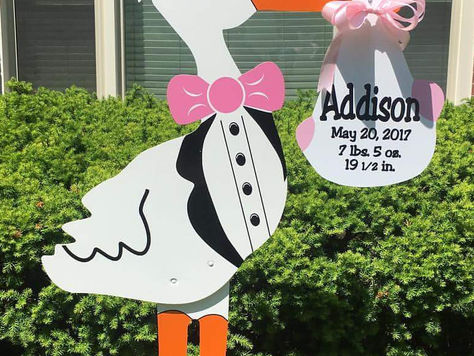 Welcome Home Addison! Congratulations to this Fort Wayne couple!