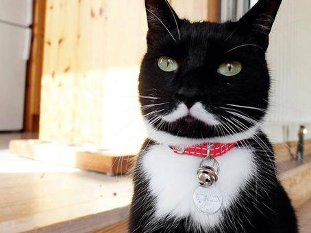 雅楽多×満天　ツーマンライブ