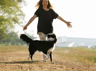 Chien qui fait du Dog Dance