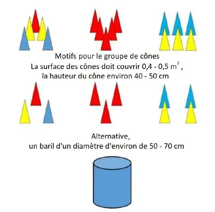 cones obeissance sportive