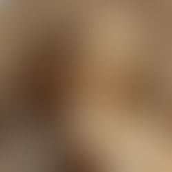 Hatshepsut: la faraona que desafió el tiempo 