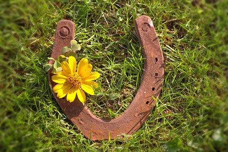 Citáty - Míša Mašková