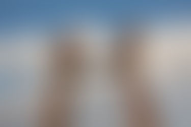 Deník.cz - V zajetí jídla aneb Vliv stravy na psychiku