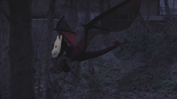 Flight