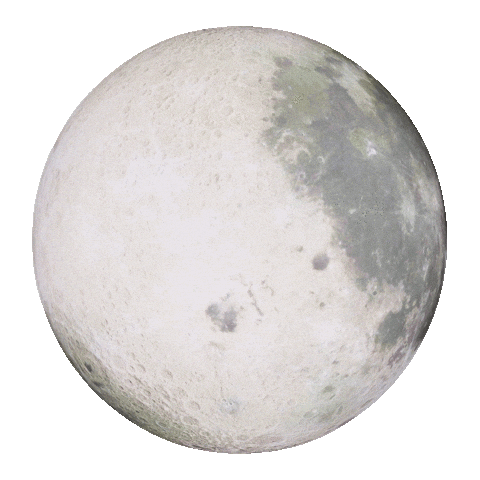 giphy - 2025-10-24T173519.130.gif