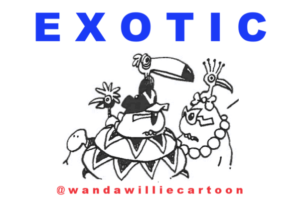 Exotic.gif