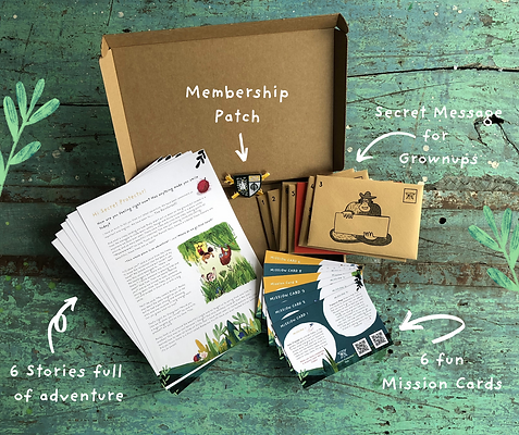 Copy of Box (2).png