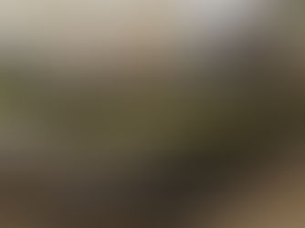 Thiết kế văn phòng trọn gói tại phường Bàn Cờ: Giải pháp toàn diện từ Đước Việt