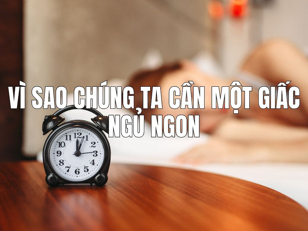 Vì sao chúng ta cần một giấc ngủ ngon