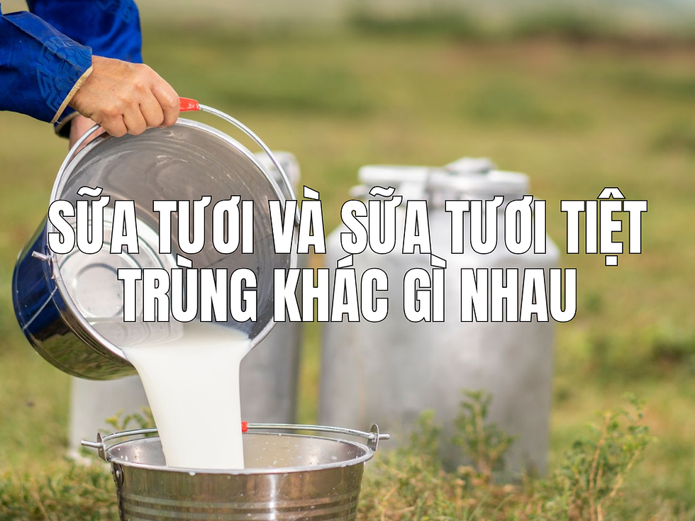 sữa tươi và sữa tiệt trùng có gì khác biệt