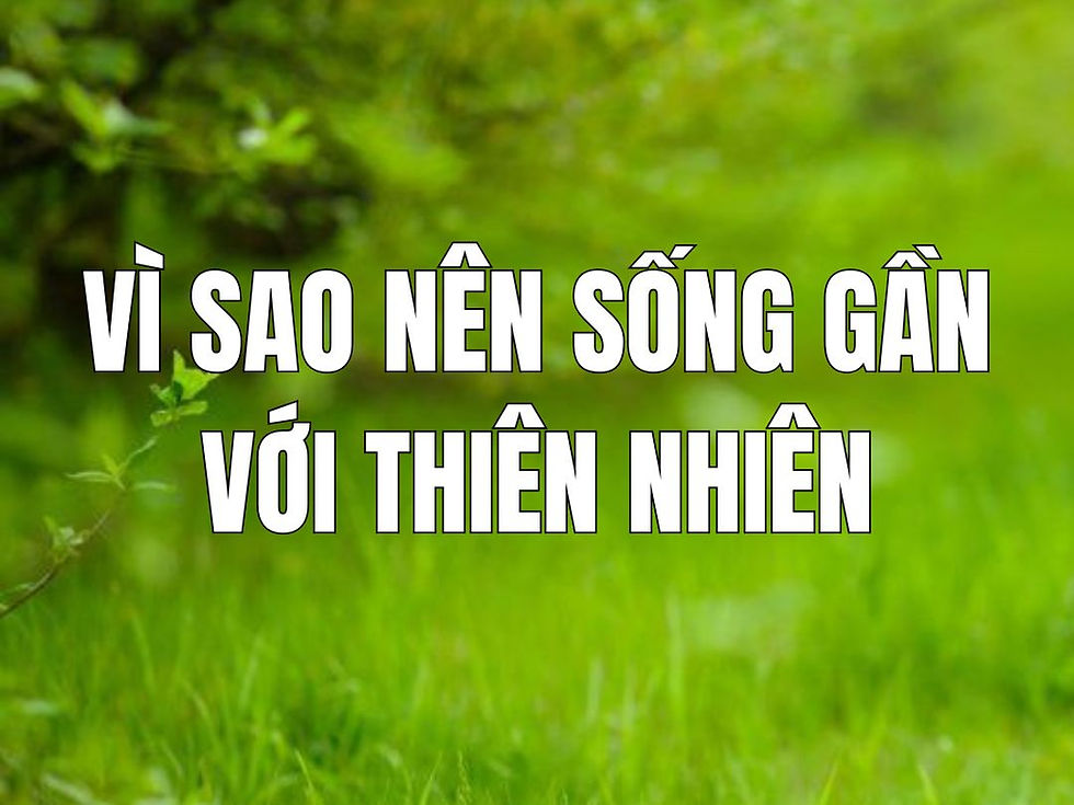 vì sao nên sống gần với thiên nhiên