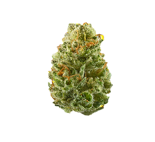 Diseño sin títulos_edited.png